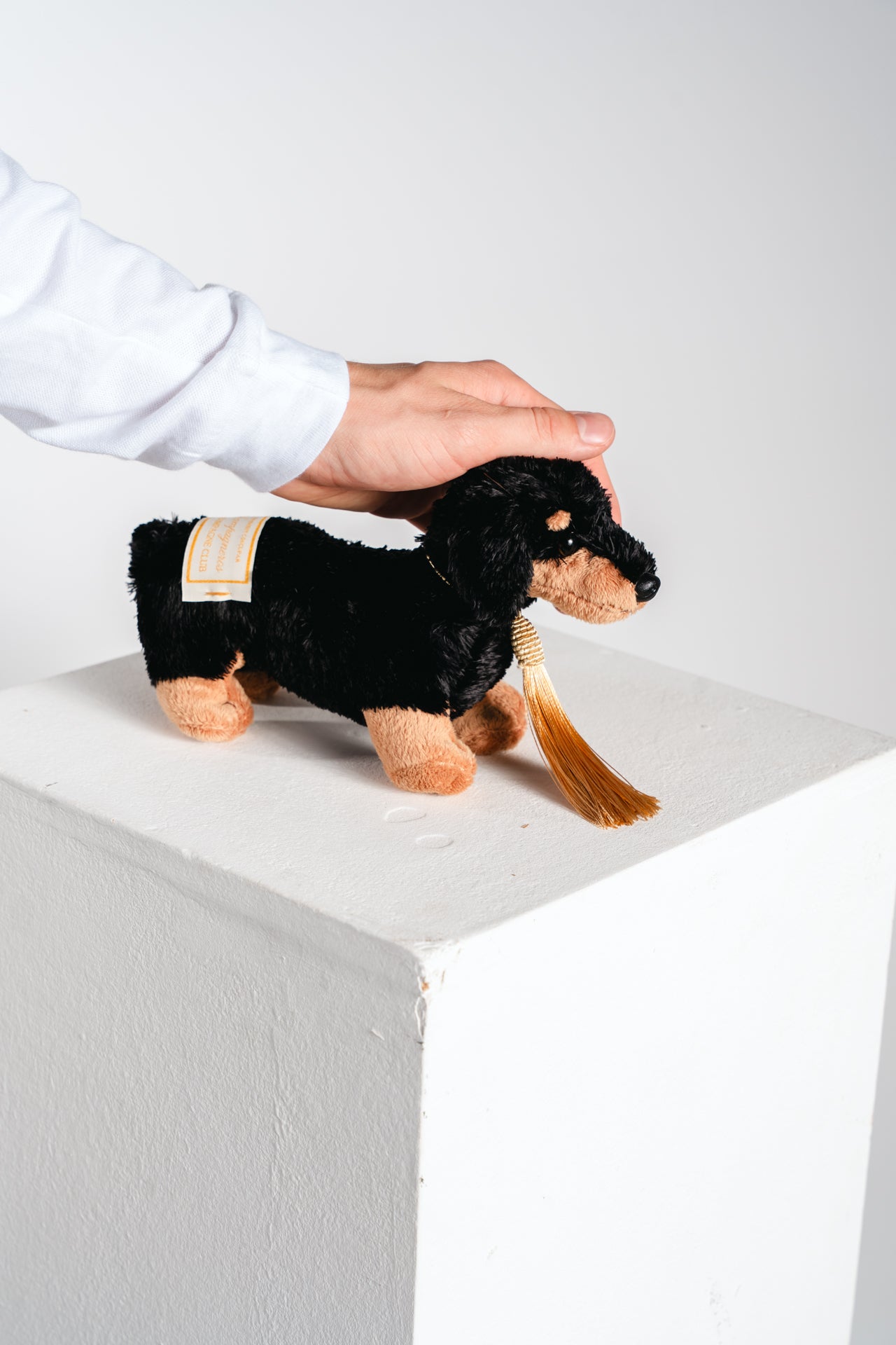 Champagneros Home Collection - Dachshund 'Attaxus'