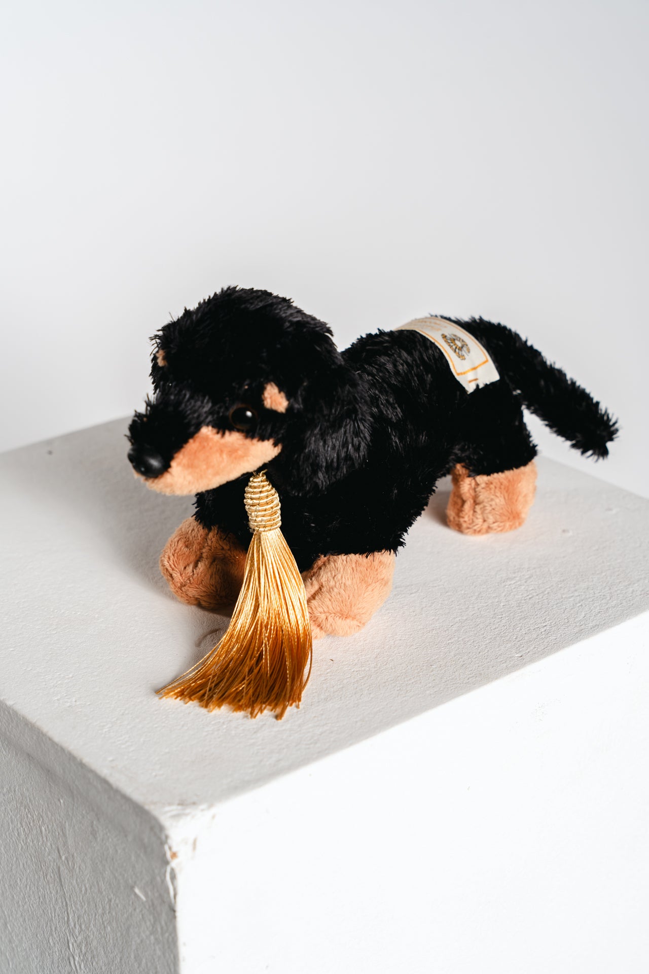 Champagneros Home Collection - Dachshund 'Attaxus'